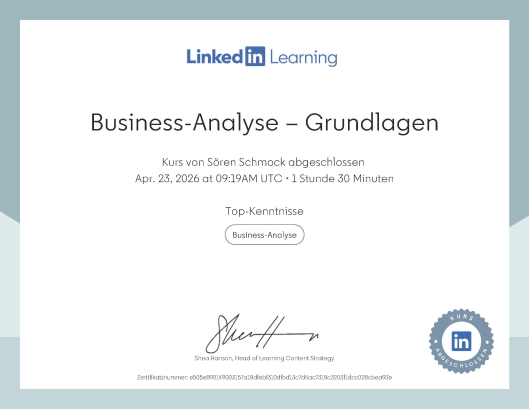 Business-Analyse – Grundlagen